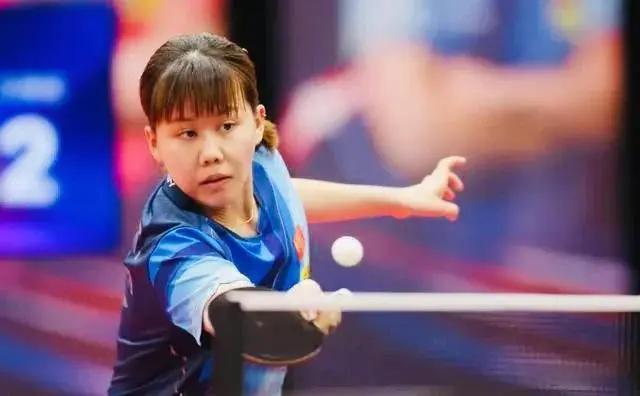 莱梅或其他 莱梅或其他