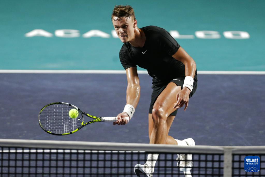 才是新手晋 才是新手晋