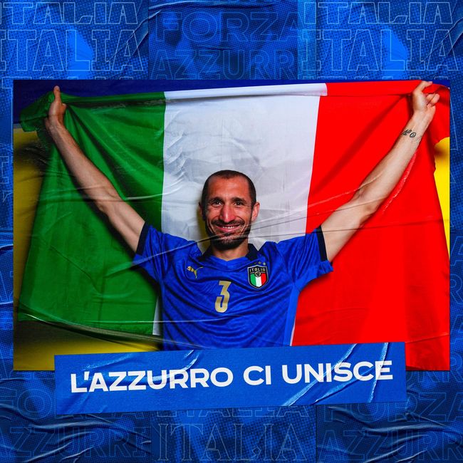 量动作反馈 量动作反馈